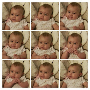 Meet your Posher, Joey